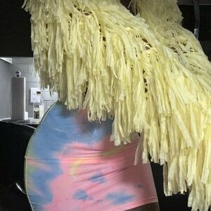 Fringed Yellow jacket